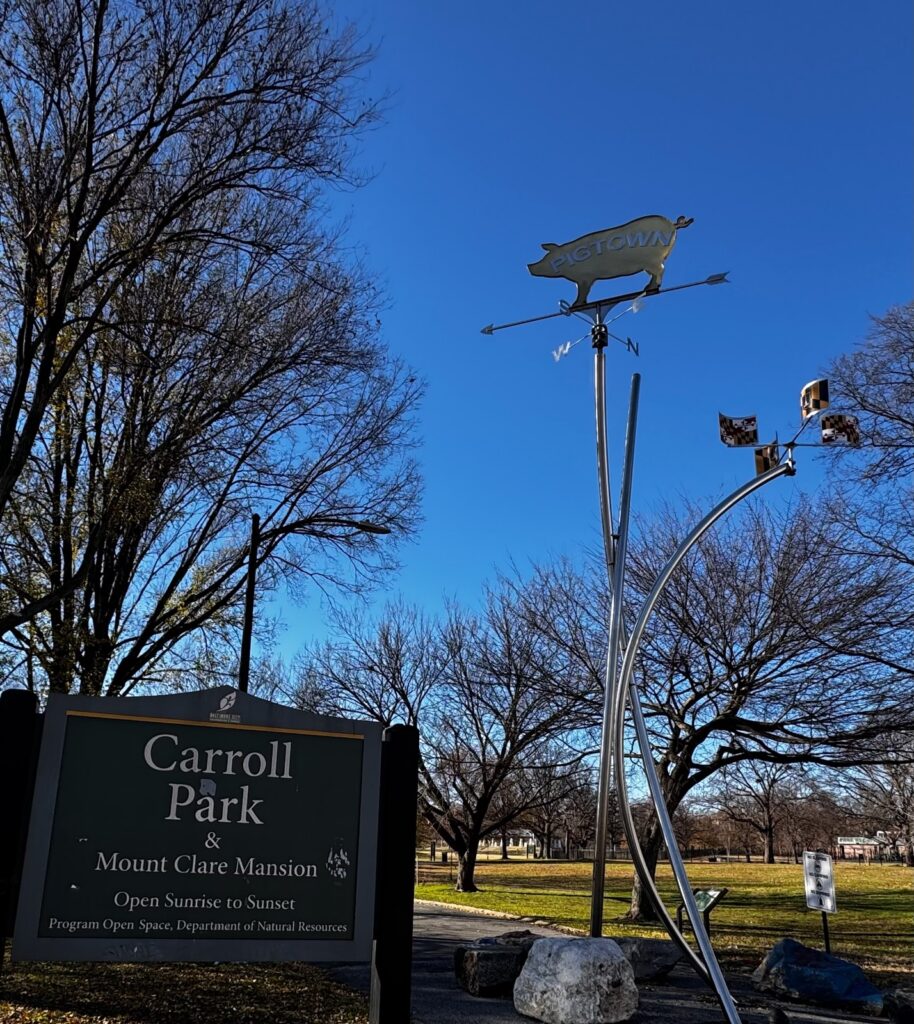Bodily Injury Litigation Attorney in Baltimore’s Carrol Park [PigTown]