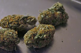 Is Medical Marijuana Legal in Maryland?